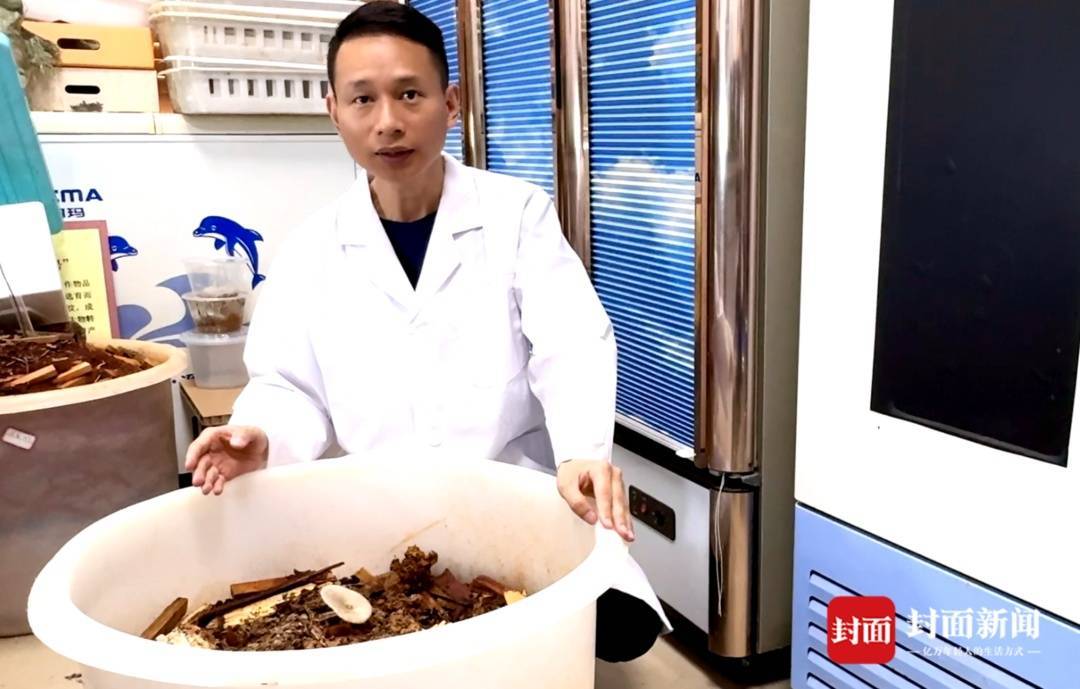 怎么注册皇冠信用盘_价格腰斩怎么注册皇冠信用盘！四川人即将实现鸡枞菌自由