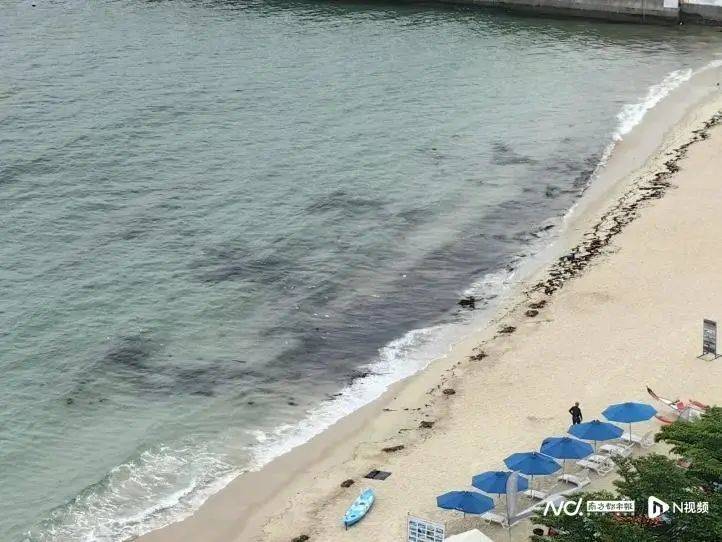 皇冠登3管理出租_“擦都擦不掉”！多名网友反映深圳大梅沙现黑色油污皇冠登3管理出租，味道刺鼻！官方回应