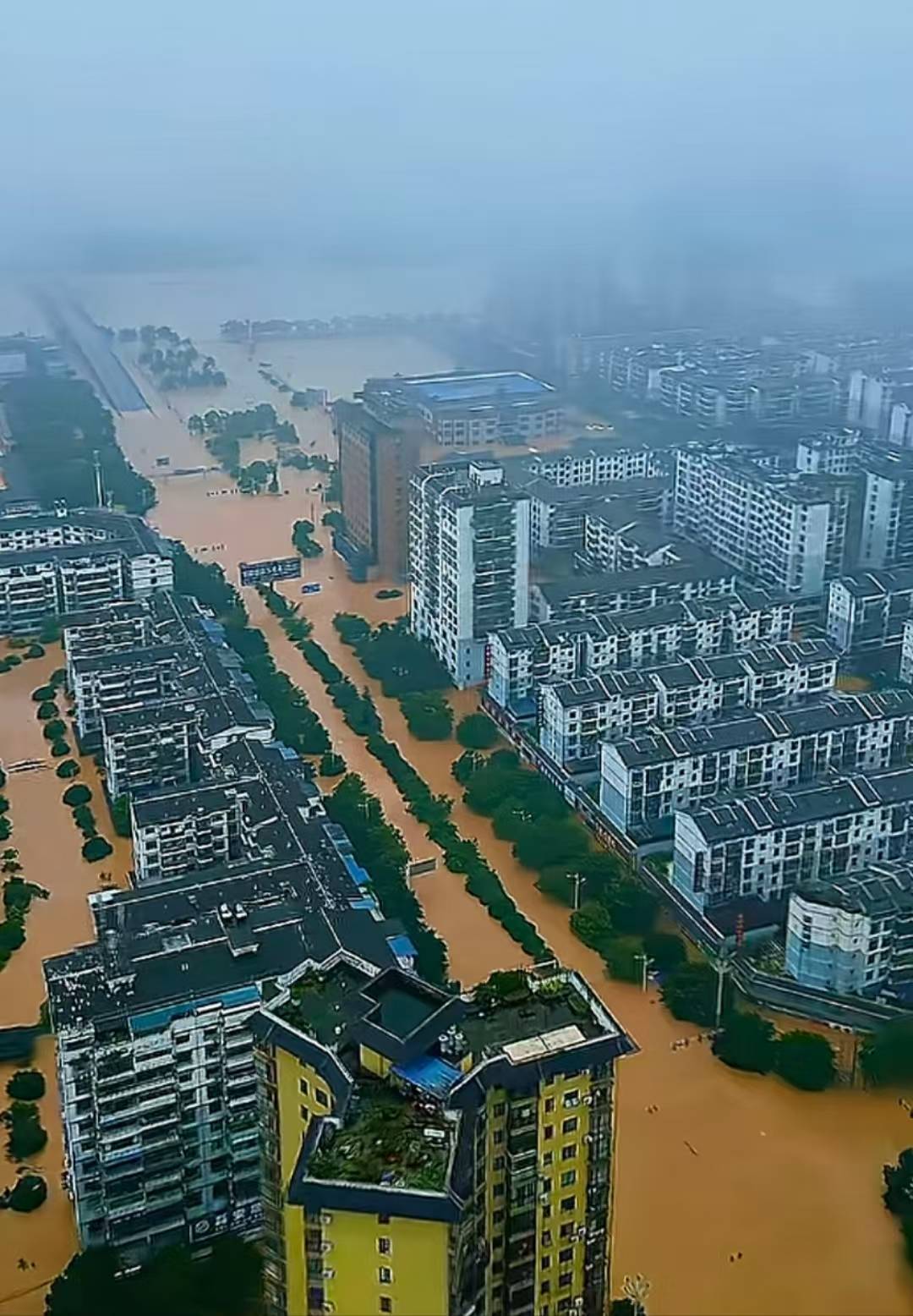 皇冠信用网会员注册_榕江再次面临洪峰过境!志愿者称清淤消杀被紧急叫停皇冠信用网会员注册,居民:刚打扫两天卫生,还没弄完