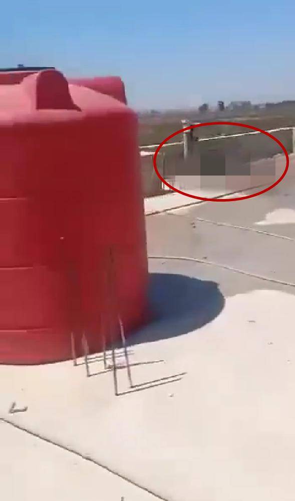 皇冠信用网庄家_乱了！狙击手现场直播被杀皇冠信用网庄家，叙利亚战斗动员，起义军向朱拉尼开打