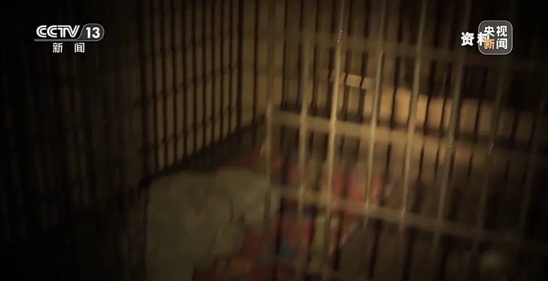 足球平台出租网
_细节披露!18岁高中生被骗至缅甸:不听话白天暴晒晚上挨打足球平台出租网
,被迫去搞网恋诈骗