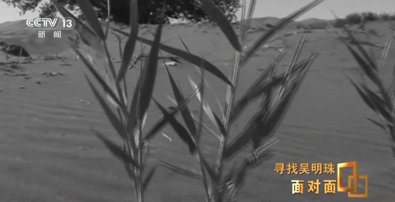 皇冠信用网出租足球_面对面丨中国人的吃瓜自由要感谢她皇冠信用网出租足球！吴明珠说她的一生就是结几个好瓜献给人民