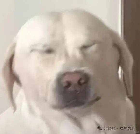 皇冠信用开号_离婚三年又被拍到亲密逛超市皇冠信用开号，他俩这是纯带娃还是真复合了？