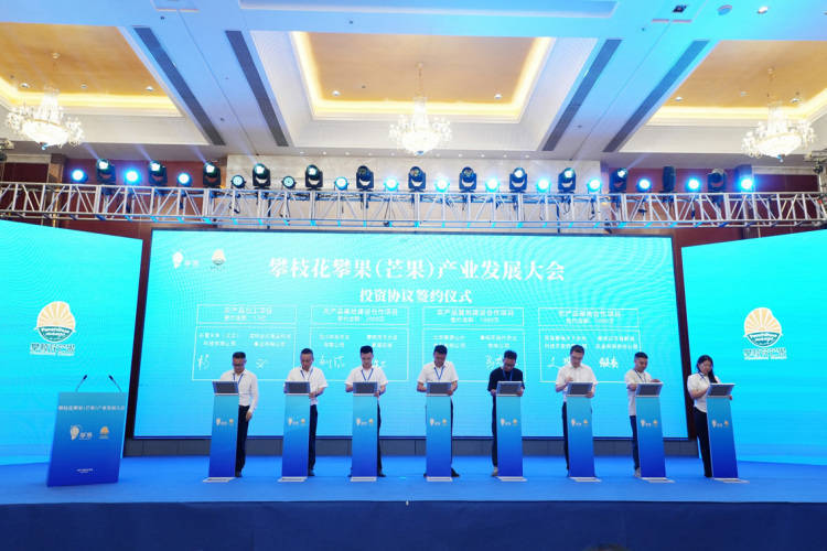 皇冠会员如何申请_项目投资总额近15亿元 攀枝花攀果（芒果）产业发展大会在盐边举行
