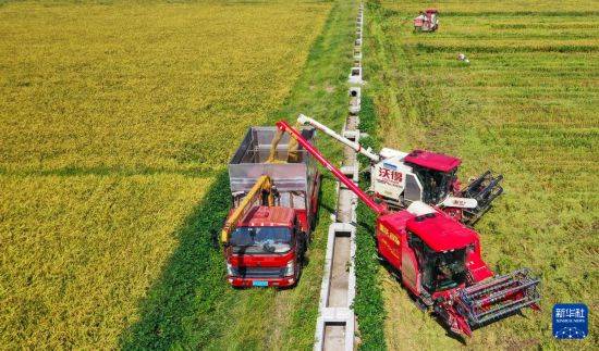 皇冠信用开户_立秋农事正当忙