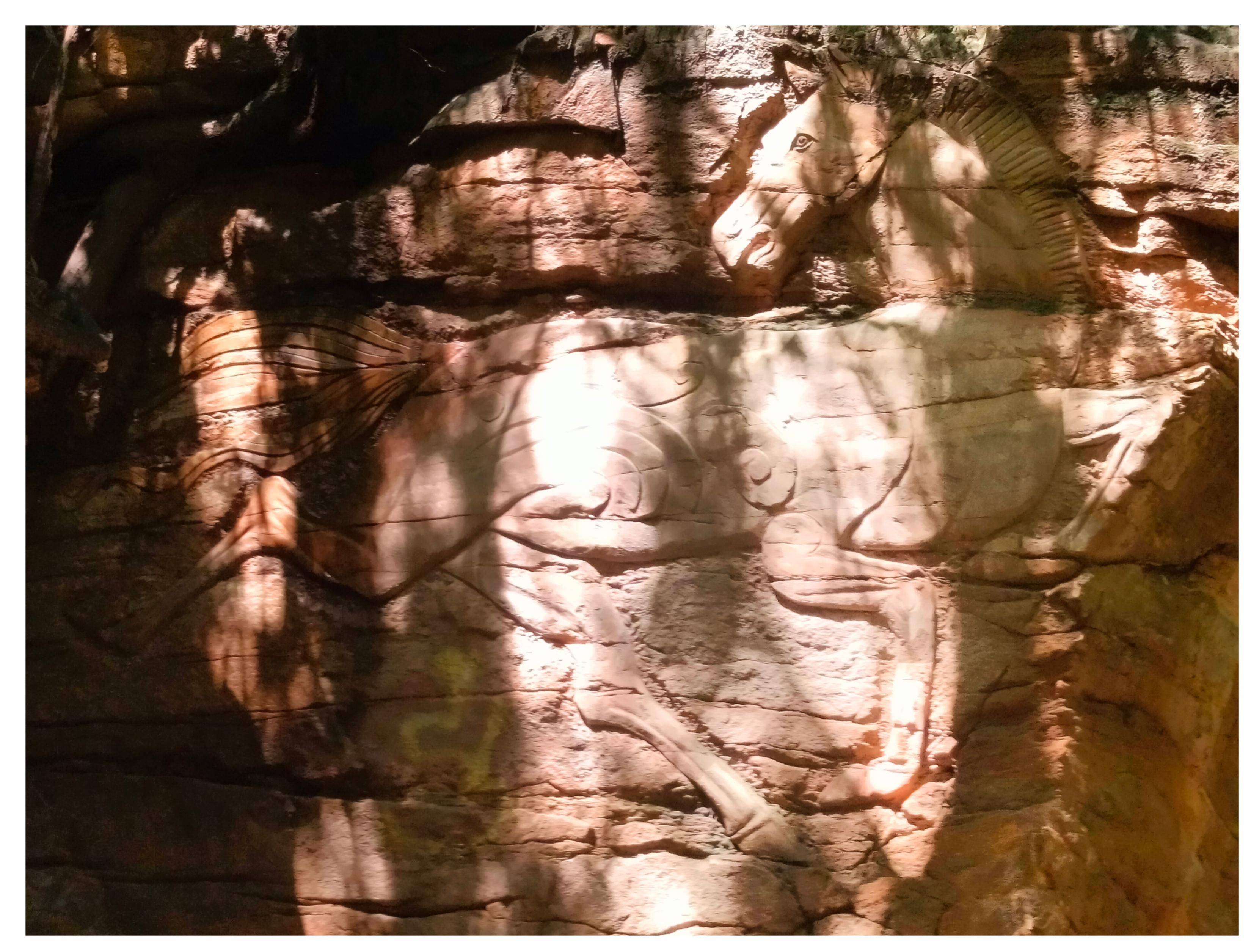 巴西乙组联赛
_流传在北京八大处的传说巴西乙组联赛
,女孩17年后再讲金马驹的故事