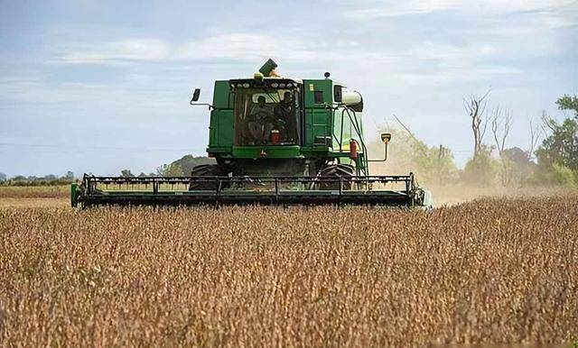 皇冠信用網需要押金吗_阿根廷继续卖中国大豆皇冠信用網需要押金吗,美国放狠话,我使馆回应亮了:美方管不着