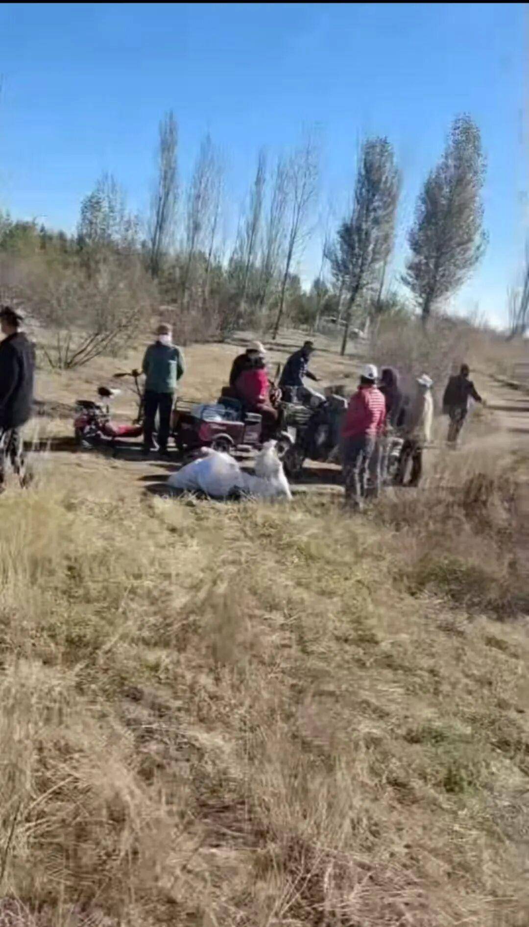 信用网怎么开户_百亩向日葵遭村民哄抢信用网怎么开户，损失50万元！警方已行拘4人