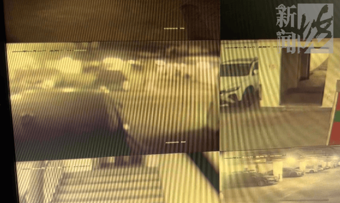 皇冠信用网注册
_上海一小区车库出现蒙面人皇冠信用网注册
,“完美躲过”45个监控探头…...警方提醒