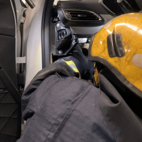 世界杯足球平台代理_杭州一车主崩溃求救：车上有只“超凶大老鼠”世界杯足球平台代理！消防员苦战20分钟发现竟是……