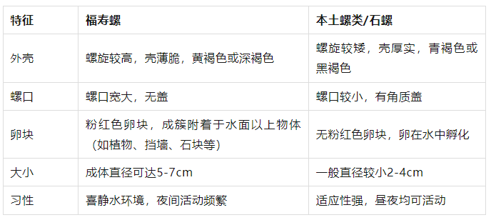 皇冠在线客服_别吃！寄生虫多达6000条皇冠在线客服，近期正大量出现，严重可致死