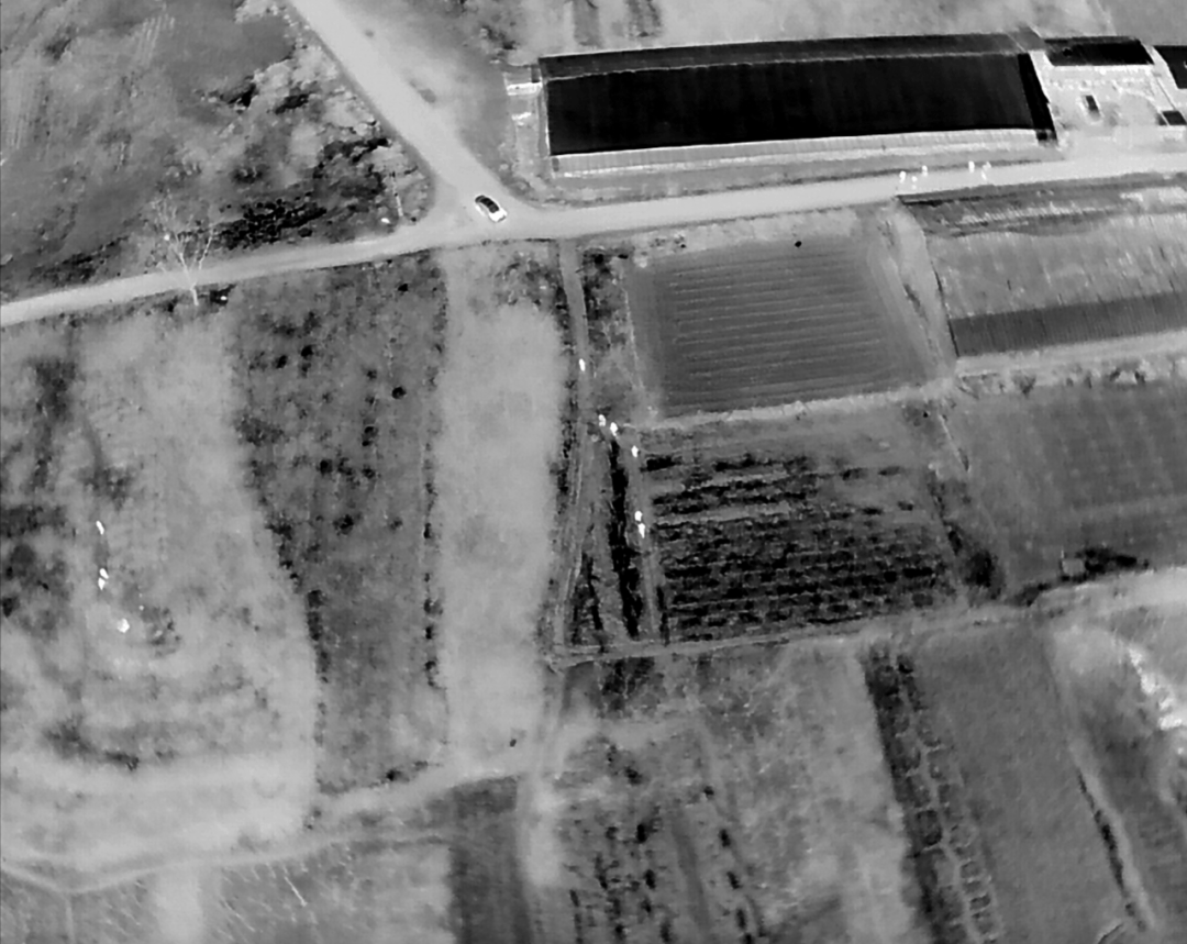 皇冠直播
_5人夜盗将军墓皇冠直播
,被无人机全程锁定现场抓获!