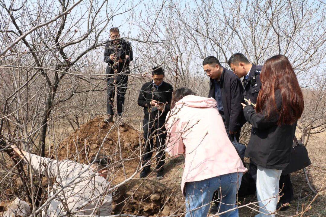 皇冠直播
_5人夜盗将军墓皇冠直播
,被无人机全程锁定现场抓获!