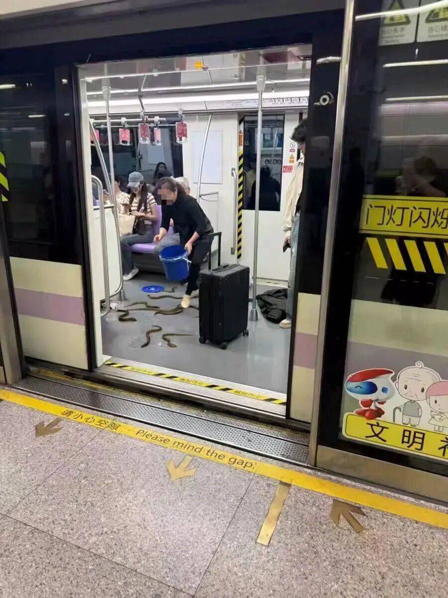 hga050怎么注册 _上海地铁一男子携带拉杆箱不断有血渍渗出hga050怎么注册 ，官方回应：鸭血冷冻食品逐渐解冻，致箱内液体渗出