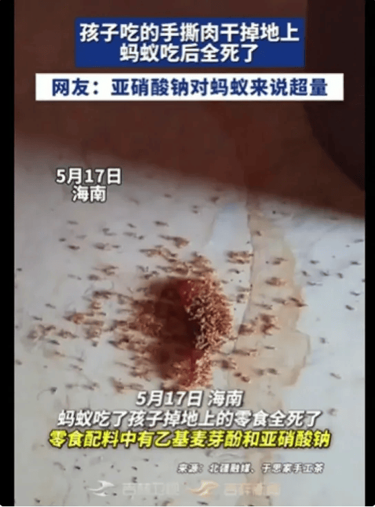皇冠hga010_孩子零食肉干碎渣掉地上皇冠hga010，蚂蚁吃完短时间内集体死亡，网友热议