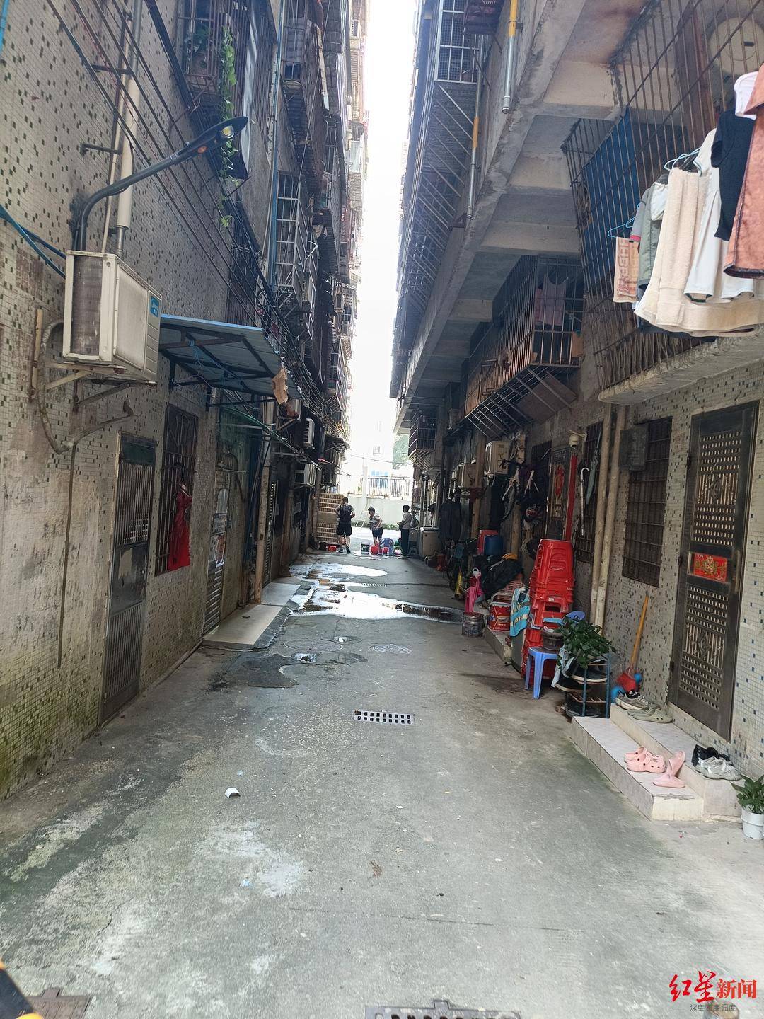 皇冠正网_“梅姨”落网始末:40年里皇冠正网,她从母亲变为贩童中间人,被抓时还欠一个月房租