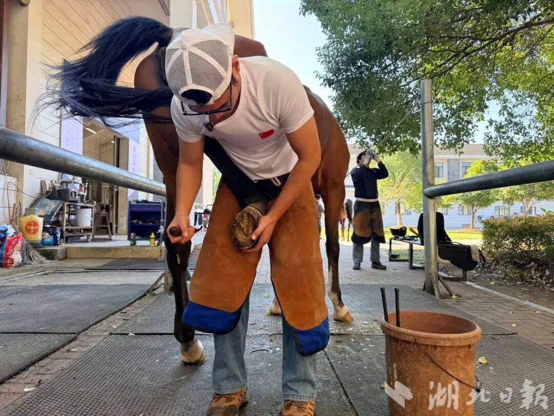 神户胜利船vs全北现代_男生被调剂到马术专业学钉蹄：全年级就他一人神户胜利船vs全北现代，每年学费仅4000元，“月薪保底5位数”