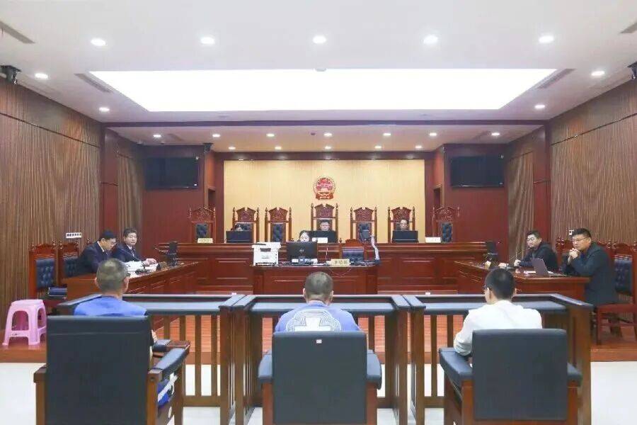 荷兰甲组联赛_“我实在受不了了”信阳一父亲举报儿子诈骗：通过伪造机动车登记证书、行驶证将租来车辆抵押借款荷兰甲组联赛，因无法按时还款，债主频繁上门辱骂威胁