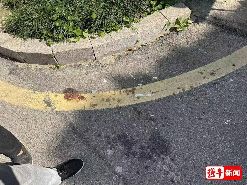 荷兰甲组联赛_浙江绍兴一小区两名环卫工人被烈性犬扑咬荷兰甲组联赛，其中一人遭长时间撕咬，伤势严重；事发地面上留有大片血迹，触目惊心；当地警方已介入调查