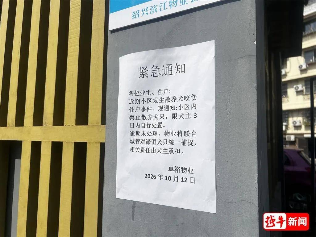荷兰甲组联赛_浙江绍兴一小区两名环卫工人被烈性犬扑咬荷兰甲组联赛，其中一人遭长时间撕咬，伤势严重；事发地面上留有大片血迹，触目惊心；当地警方已介入调查