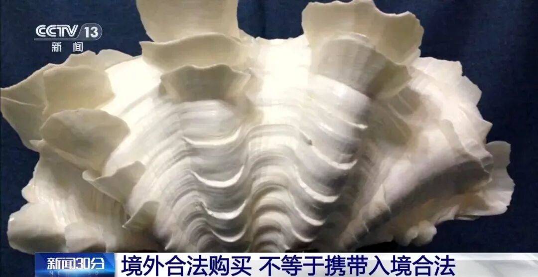 瑞典超级联赛_夫妻携242枚商周至民国时期钱币出国瑞典超级联赛，想送给国外定居子女，被海关查扣：经国家文物局鉴定，属于国家禁止出境文物