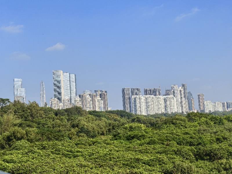 波兰超级联赛_APEC前夕的深圳：中国最会搞钱的城市为何愿“为鸟熄灯”